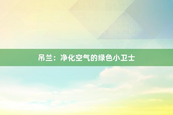 吊兰：净化空气的绿色小卫士